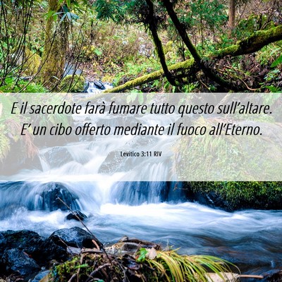 Picture 06 - Levitico 3:11 RIV - E il sacerdote farà fumare tutto questo - Bible Verse Picture
