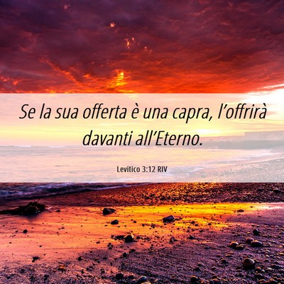 Picture 06 - Levitico 3:12 RIV - Se la sua offerta è una capra, l’offrirà - Bible Verse Picture