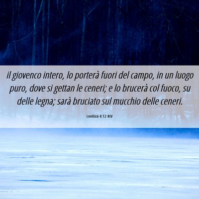 Picture 06 - Levitico 4:12 RIV - il giovenco intero, lo porterà fuori del campo, - Bible Verse Picture