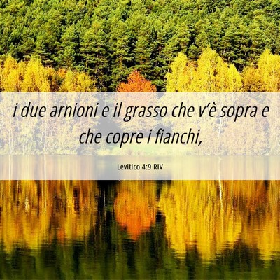 Picture 06 - Levitico 4:9 RIV - i due arnioni e il grasso che v’è sopra e che - Bible Verse Picture