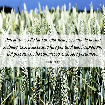 Picture 06 - Levitico 5:10 RIV - Dell’altro uccello farà un olocausto, secondo - Bible Verse Picture