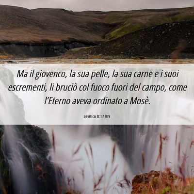 Picture 06 - Levitico 8:17 RIV - Ma il giovenco, la sua pelle, la sua carne e i - Bible Verse Picture