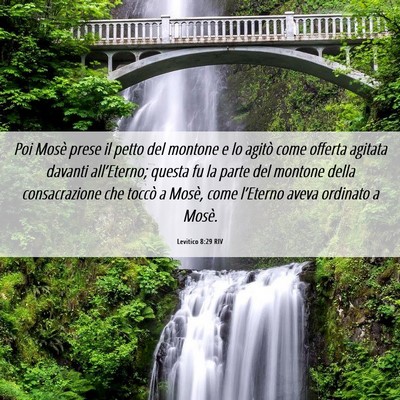 Picture 06 - Levitico 8:29 RIV - Poi Mosè prese il petto del montone e lo agitò - Bible Verse Picture