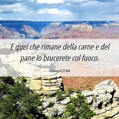 Picture 06 - Levitico 8:32 RIV - E quel che rimane della carne e del pane lo - Bible Verse Picture