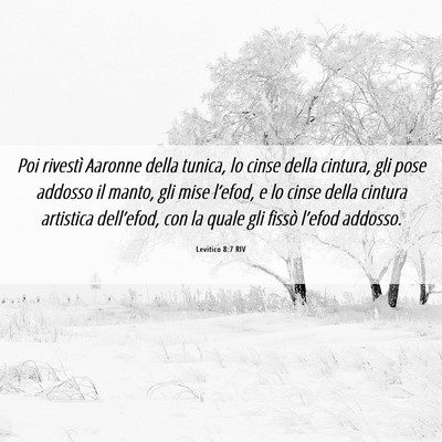 Picture 06 - Levitico 8:7 RIV - Poi rivestì Aaronne della tunica, lo cinse della - Bible Verse Picture