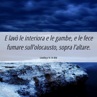 Picture 06 - Levitico 9:14 RIV - E lavò le interiora e le gambe, e le fece fumare - Bible Verse Picture