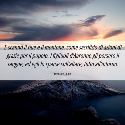Picture 06 - Levitico 9:18 RIV - E scannò il bue e il montone, come sacrifizio di - Bible Verse Picture