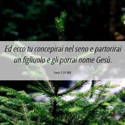 Picture 06 - Luca 1:31 RIV - Ed ecco tu concepirai nel seno e partorirai un - Bible Verse Picture