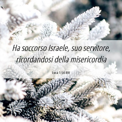 Picture 06 - Luca 1:54 RIV - Ha soccorso Israele, suo servitore, ricordandosi - Bible Verse Picture