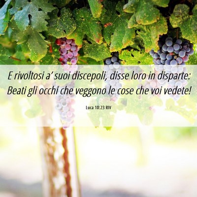 Picture 06 - Luca 10:23 RIV - E rivoltosi a’ suoi discepoli, disse loro in - Bible Verse Picture