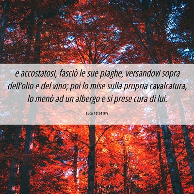 Picture 06 - Luca 10:34 RIV - e accostatosi, fasciò le sue piaghe, versandovi - Bible Verse Picture