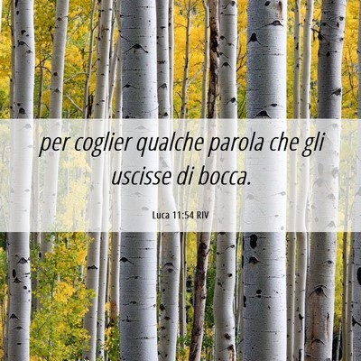 Picture 06 - Luca 11:54 RIV - per coglier qualche parola che gli uscisse di - Bible Verse Picture