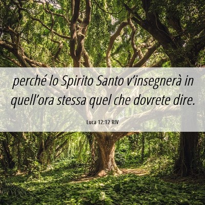 Picture 06 - Luca 12:12 RIV - perché lo Spirito Santo v’insegnerà in - Bible Verse Picture