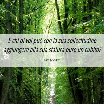 Picture 06 - Luca 12:25 RIV - E chi di voi può con la sua sollecitudine - Bible Verse Picture