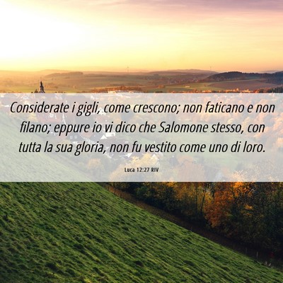 Picture 06 - Luca 12:27 RIV - Considerate i gigli, come crescono; non faticano - Bible Verse Picture