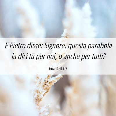 Picture 06 - Luca 12:41 RIV - E Pietro disse: Signore, questa parabola la dici - Bible Verse Picture