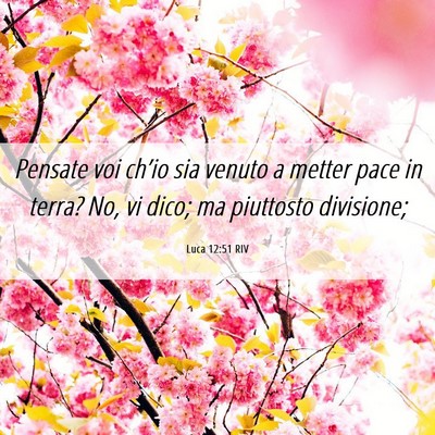 Picture 06 - Luca 12:51 RIV - Pensate voi ch’io sia venuto a metter pace in - Bible Verse Picture