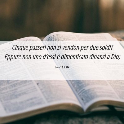 Picture 06 - Luca 12:6 RIV - Cinque passeri non si vendon per due soldi? - Bible Verse Picture