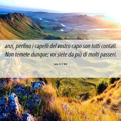 Picture 06 - Luca 12:7 RIV - anzi, perfino i capelli del vostro capo son tutti - Bible Verse Picture