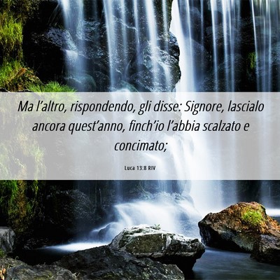 Picture 06 - Luca 13:8 RIV - Ma l’altro, rispondendo, gli disse: Signore, - Bible Verse Picture