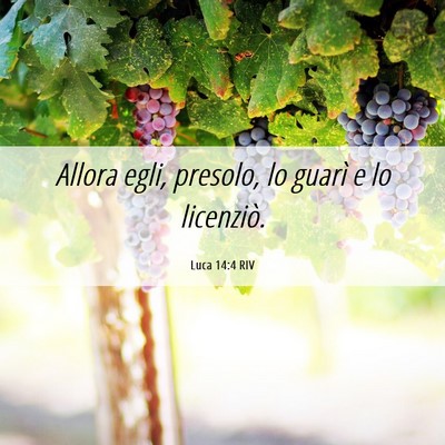 Picture 06 - Luca 14:4 RIV - Allora egli, presolo, lo guarì e lo - Bible Verse Picture