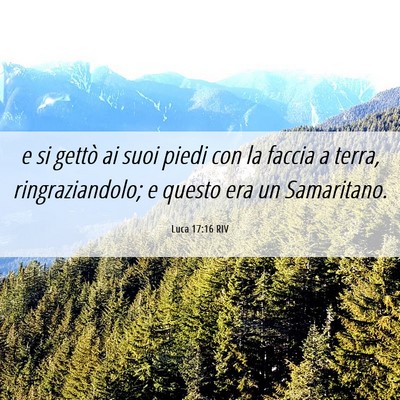 Picture 06 - Luca 17:16 RIV - e si gettò ai suoi piedi con la faccia a terra, - Bible Verse Picture