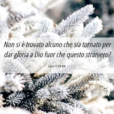 Picture 06 - Luca 17:18 RIV - Non si è trovato alcuno che sia tornato per dar - Bible Verse Picture