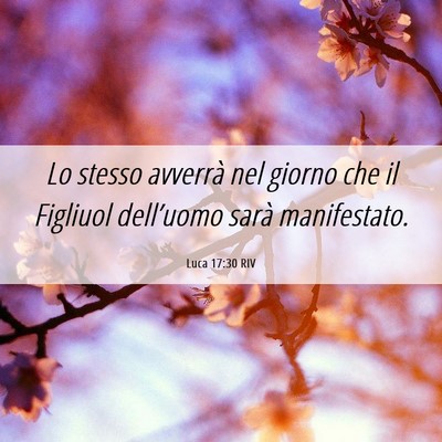 Picture 06 - Luca 17:30 RIV - Lo stesso avverrà nel giorno che il Figliuol - Bible Verse Picture