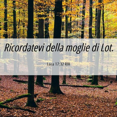 Picture 06 - Luca 17:32 RIV - Ricordatevi della moglie di - Bible Verse Picture