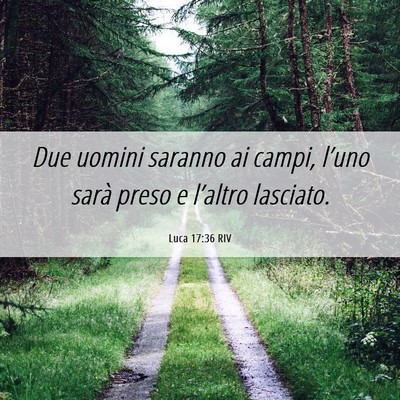 Picture 06 - Luca 17:36 RIV - Due uomini saranno ai campi, l’uno sarà preso - Bible Verse Picture