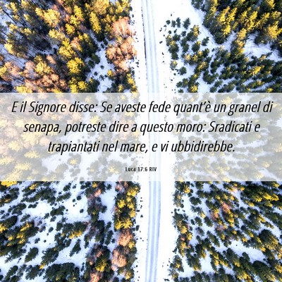 Picture 06 - Luca 17:6 RIV - E il Signore disse: Se aveste fede quant’è un - Bible Verse Picture