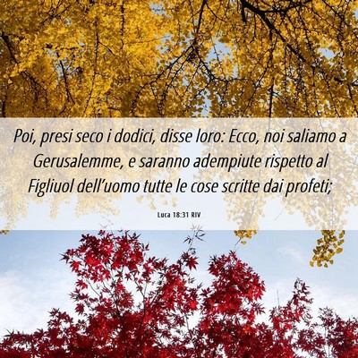 Picture 06 - Luca 18:31 RIV - Poi, presi seco i dodici, disse loro: Ecco, noi - Bible Verse Picture