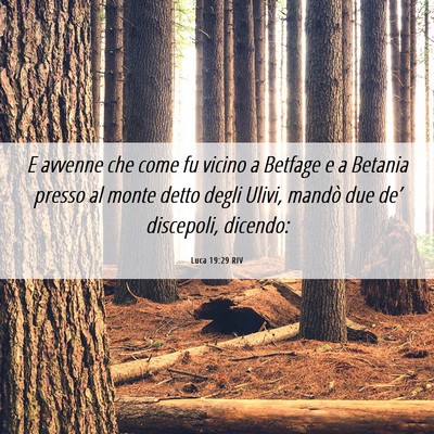 Picture 06 - Luca 19:29 RIV - E avvenne che come fu vicino a Betfage e a - Bible Verse Picture