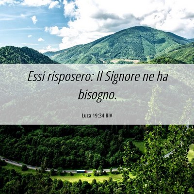 Picture 06 - Luca 19:34 RIV - Essi risposero: Il Signore ne ha - Bible Verse Picture