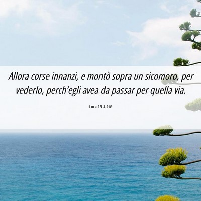 Picture 06 - Luca 19:4 RIV - Allora corse innanzi, e montò sopra un sicomoro, - Bible Verse Picture