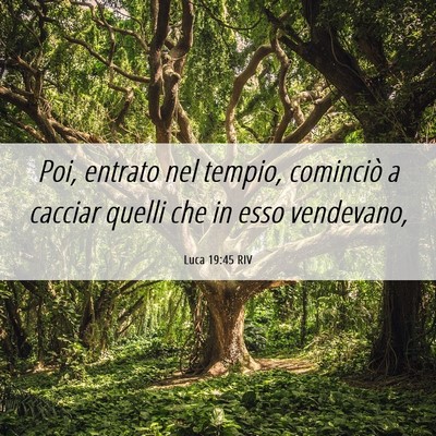 Picture 06 - Luca 19:45 RIV - Poi, entrato nel tempio, cominciò a cacciar - Bible Verse Picture