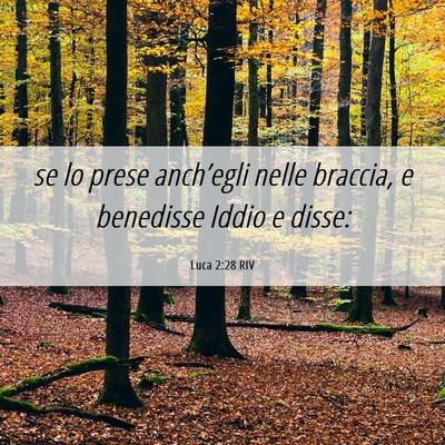 Picture 06 - Luca 2:28 RIV - se lo prese anch’egli nelle braccia, e - Bible Verse Picture