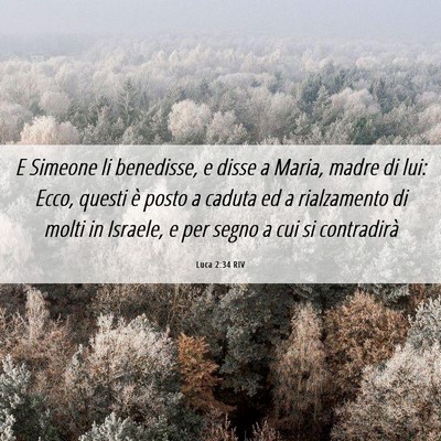 Picture 06 - Luca 2:34 RIV - E Simeone li benedisse, e disse a Maria, madre di - Bible Verse Picture