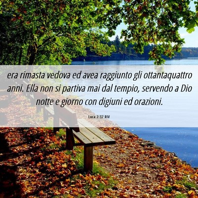 Picture 06 - Luca 2:37 RIV - era rimasta vedova ed avea raggiunto gli - Bible Verse Picture