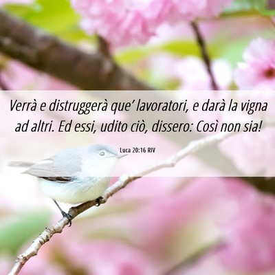 Picture 06 - Luca 20:16 RIV - Verrà e distruggerà que’ lavoratori, e darà - Bible Verse Picture