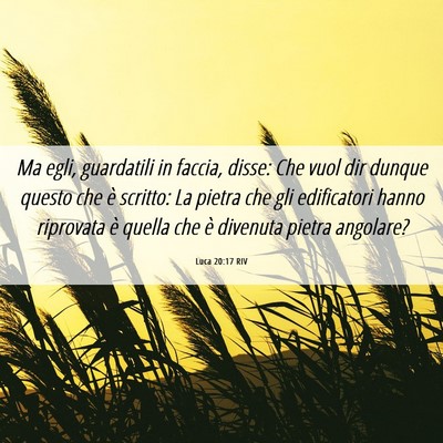 Picture 06 - Luca 20:17 RIV - Ma egli, guardatili in faccia, disse: Che vuol - Bible Verse Picture