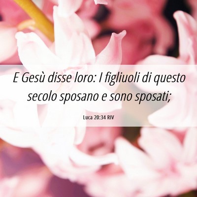Picture 06 - Luca 20:34 RIV - E Gesù disse loro: I figliuoli di questo secolo - Bible Verse Picture