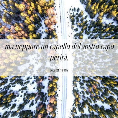 Picture 06 - Luca 21:18 RIV - ma neppure un capello del vostro capo - Bible Verse Picture