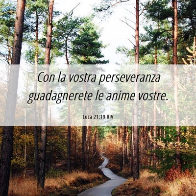 Picture 06 - Luca 21:19 RIV - Con la vostra perseveranza guadagnerete le anime - Bible Verse Picture