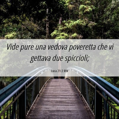 Picture 06 - Luca 21:2 RIV - Vide pure una vedova poveretta che vi gettava due - Bible Verse Picture