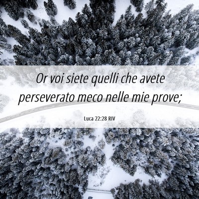 Picture 06 - Luca 22:28 RIV - Or voi siete quelli che avete perseverato meco - Bible Verse Picture