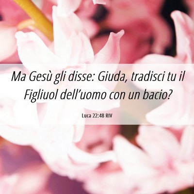 Picture 06 - Luca 22:48 RIV - Ma Gesù gli disse: Giuda, tradisci tu il - Bible Verse Picture
