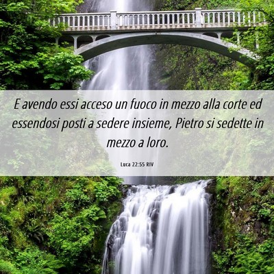 Picture 06 - Luca 22:55 RIV - E avendo essi acceso un fuoco in mezzo alla corte - Bible Verse Picture