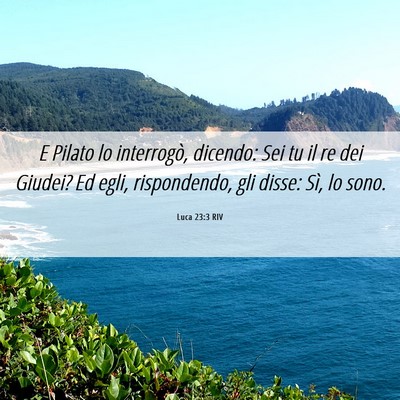 Picture 06 - Luca 23:3 RIV - E Pilato lo interrogò, dicendo: Sei tu il re dei - Bible Verse Picture