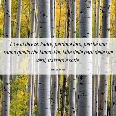 Picture 06 - Luca 23:34 RIV - E Gesù diceva: Padre, perdona loro, perché non - Bible Verse Picture